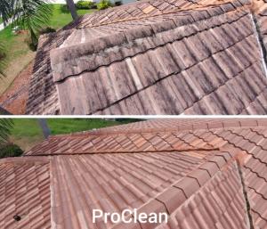 roof soft washing for Tampa home