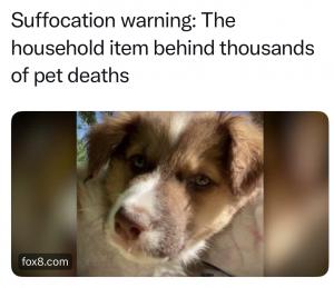 Fox 8 News Cleveland Media Segment on Pet Suffocation