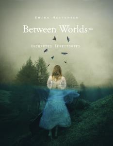 Between Worlds Pilgrimage by Erika Masterson