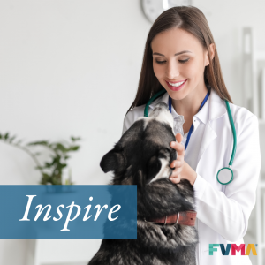 inspire by fvma