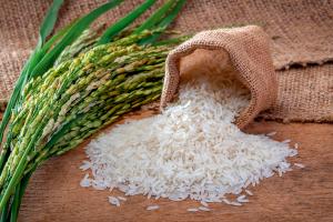 Fortified Rice Market