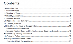 Table of Contents of AI Law Report