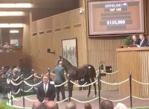 Top weanlings by Early Voting during bidding at the Keeneland Sales, Kentucky