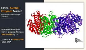 Alcohol Enzymes Markets Trends