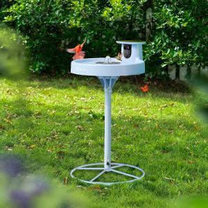 A red bird visiting a pale blue bird bath.