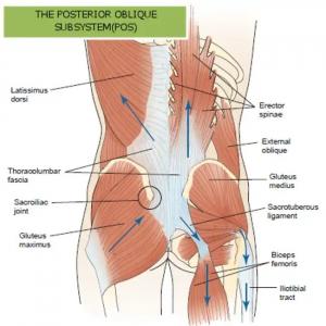 Posterior Oblique Subsystem - https://brookbushinstitute.com/courses/posterior-oblique-subsystem-integration