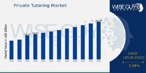 Private Tutoring Market Size