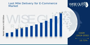 Last Mile Delivery for E-Commerce Market Size