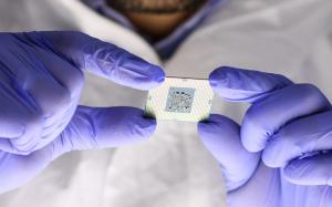 Biochips Market Growth 2025