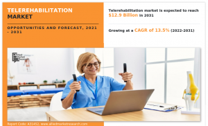 Telerehabilitation Market Research Report