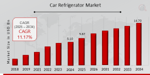 Car Refrigerator Market  Overview 2025-2034