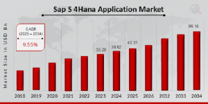 Sap S 4Hana Application Market Size